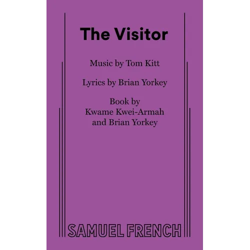 The Visitor