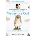 Wesley the Owl: The Remarkable Love Story of an Owl and His Girl