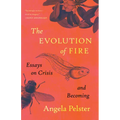 The Evolution of Fire: Essays on Crisis and Becoming