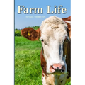 Farm Life: a Picture Book In Large Print For Adults And Seniors