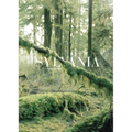 Sylvania
