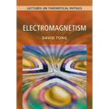 Electromagnetism: Volume 2: Lectures on Theoretical Physics