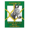 Yosemite: Where Mules Wear Diamonds