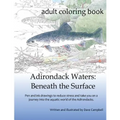 Adirondack Waters: Beneath the Surface