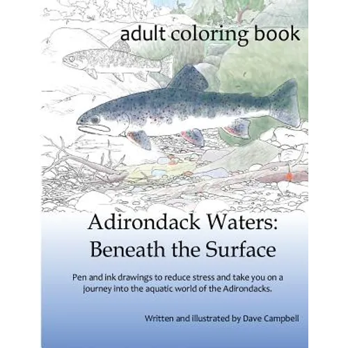 Adirondack Waters: Beneath the Surface