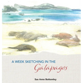 A Week Sketching in the Galapagos
