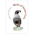 Birds of Santa Cruz