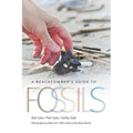 A Beachcomber's Guide to Fossils