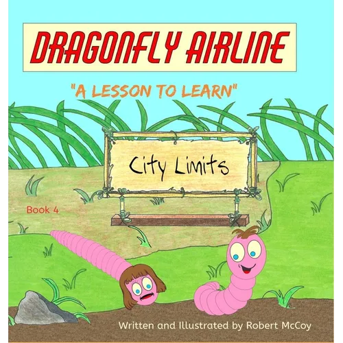 Dragonfly Airline - "A Lesson to Learn"