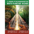13 Moon Synchronometer: White Planetary Wizard year: July 26 2015 - July 25 2016