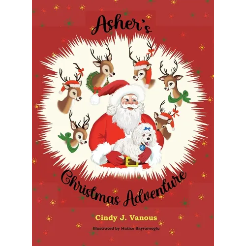 Asher's Christmas Adventure