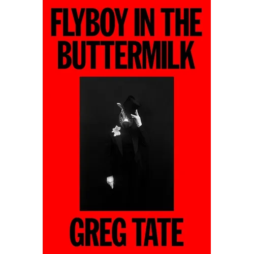 Flyboy in the Buttermilk: Essays on Contemporary America