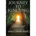 Journey to Igniting