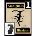 Ambiguous Illusions