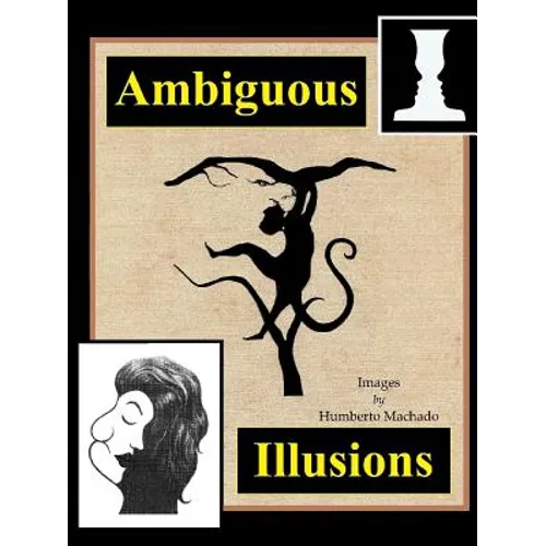 Ambiguous Illusions