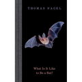 What Is It Like to Be a Bat?