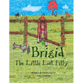 Brigid, The Little Lost Filly