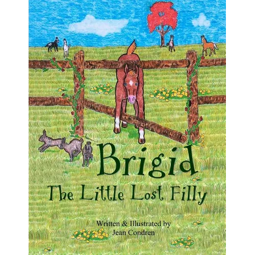 Brigid, The Little Lost Filly