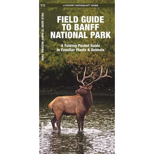 Banff National Park, Field Guide to: A Folding Pocket Guide to Familiar Plants & Animals
