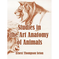 Studies in the Art Anatomy of Animals