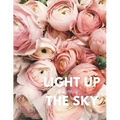 Light Up the Sky Peonies