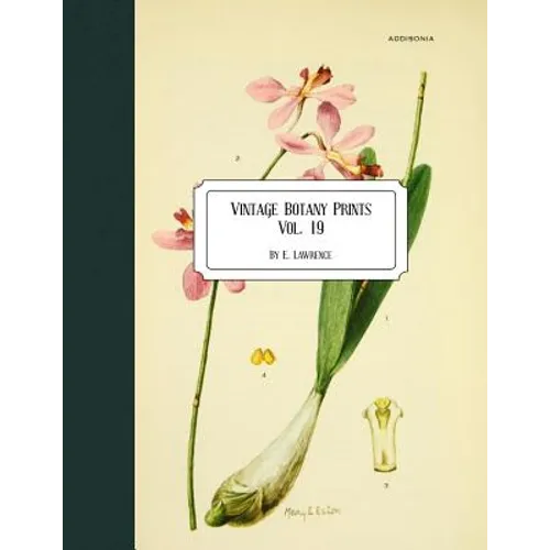 Vintage Botany Prints: Vol. 19