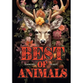 Best of Animals Coloring Book for Adults: Animals Coloring Book for Adults Grayscale Best of all Dogs, Cats, funny Animals, Flower Animals, Christmas