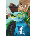 Animal Olympics