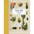 Vintage Prints: Cactus Prints