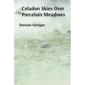 Celadon Skies Over Porcelain Meadows: A Ceramicist's Odyssey Through Form, Texture, and Translucence
