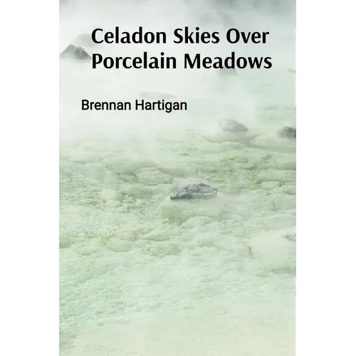 Celadon Skies Over Porcelain Meadows: A Ceramicist's Odyssey Through Form, Texture, and Translucence