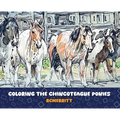 Coloring the Chincoteague Ponies