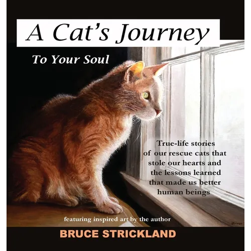 A Cat's Journey To Your Soul