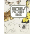 Learning About Butterflies: Illustrations of Butterflies & Moths