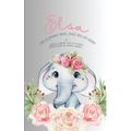 Elsa: The Elephant Who Loves Roller Derby