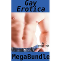 Gay Erotica Mega Bundle