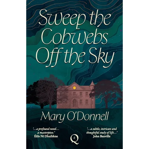 Sweep the Cobwebs Off the Sky
