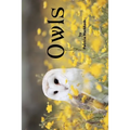 Owls: Grayscale Adult Coloring Book - Travel Size