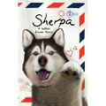 Sherpa, A Letter From Paris