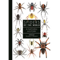 Spiders of the World: A Natural History
