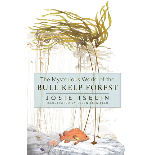 The Mysterious World of the Bull Kelp Forest