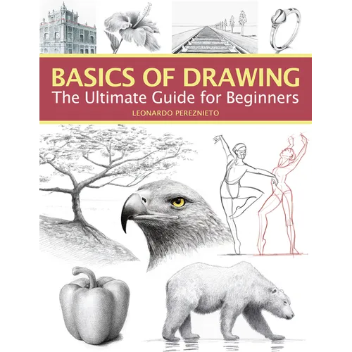 Basics of Drawing: The Ultimate Guide for Beginners