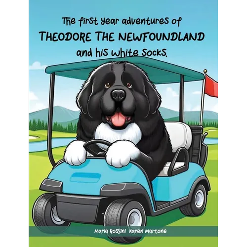 The First Year Adventures Of Theodore The Newfoundland And His White Socks