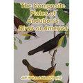 The Composite Plates of Audubon's Birds of America