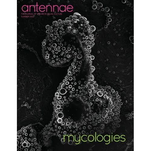 Antennae #58 Mycologies