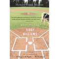 Waiting for Teddy Williams