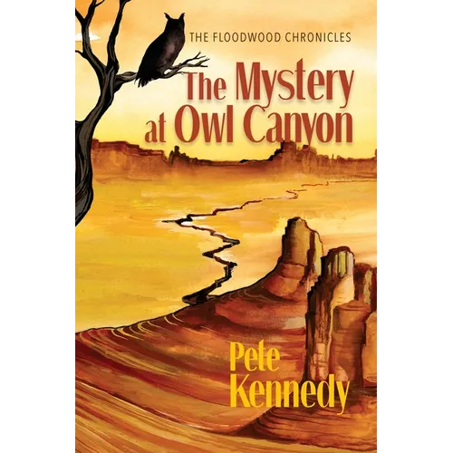 The Mystery at Owl Canyon