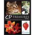 CP Treasures, Volume III: Colored Pencil Masterworks from Around the Globe