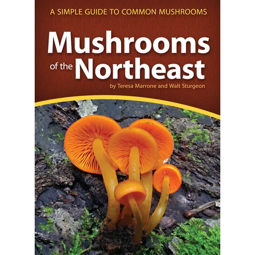 Mushrooms of the Northeast: A Simple Guide to Common Mushrooms