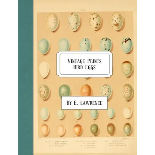Vintage Prints: Bird Eggs